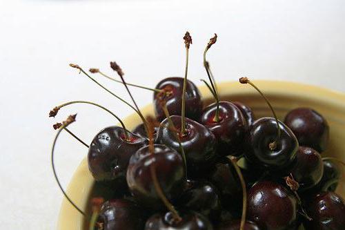 Cherry Black Large: lajikkeen kuvaus, istutus ja hoito