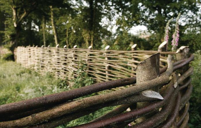 Willow Fence