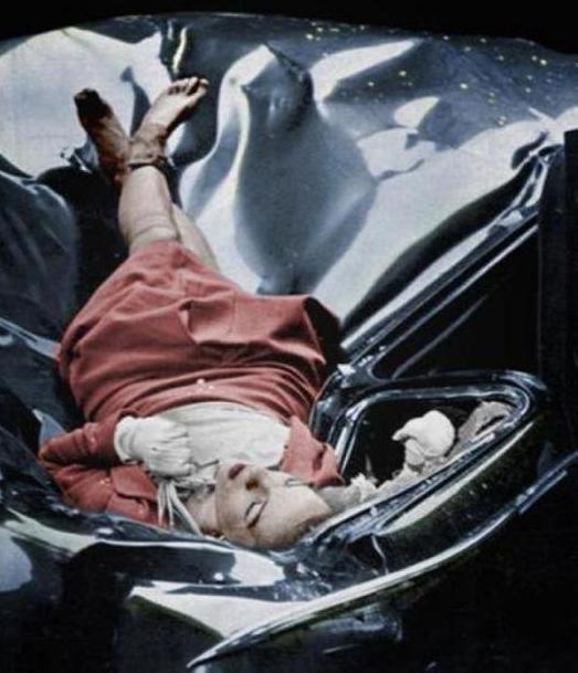 Evelyn McHale kuva