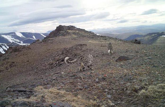 Sailyugem National Park: kuva