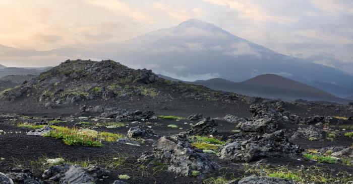 Kamchatkan voimakkaimmat maanjäristykset, kun ne tapahtui?