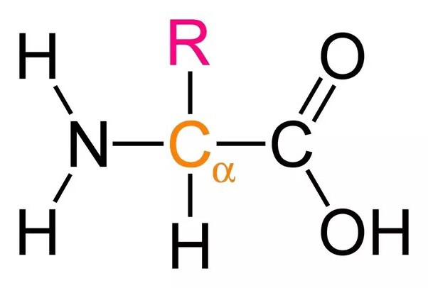 Biologian lähetystoiminta on vaiheittainen proteiinisynteesi