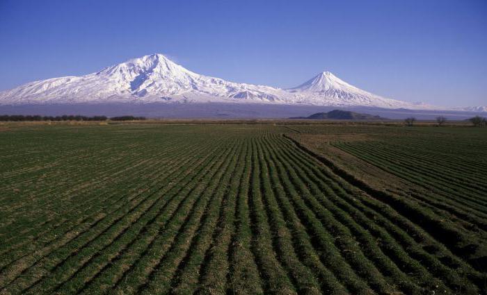 Länsi-Armenia