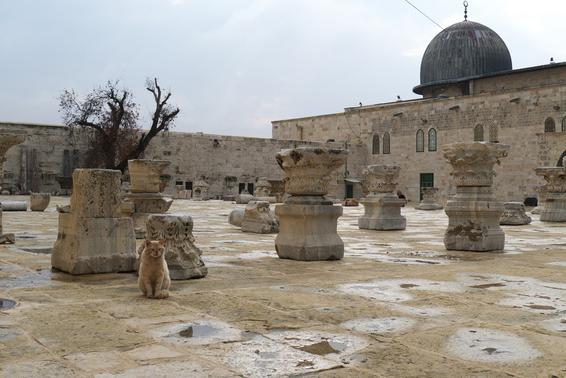 vuori Jerusalemissa