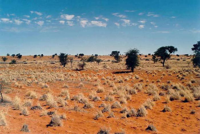 Namibia: nähtävyyksiä kuvauksineen ja valokuvineen