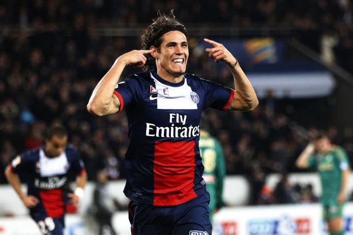 Edinson Cavani: menestys