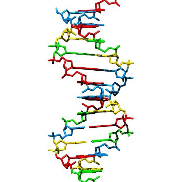 DNA-synteesi on helppoa!